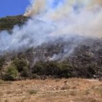 Φωτιά Πυρκαγιά Λιβάρτζι Καλάβρυτα Αχαΐα
