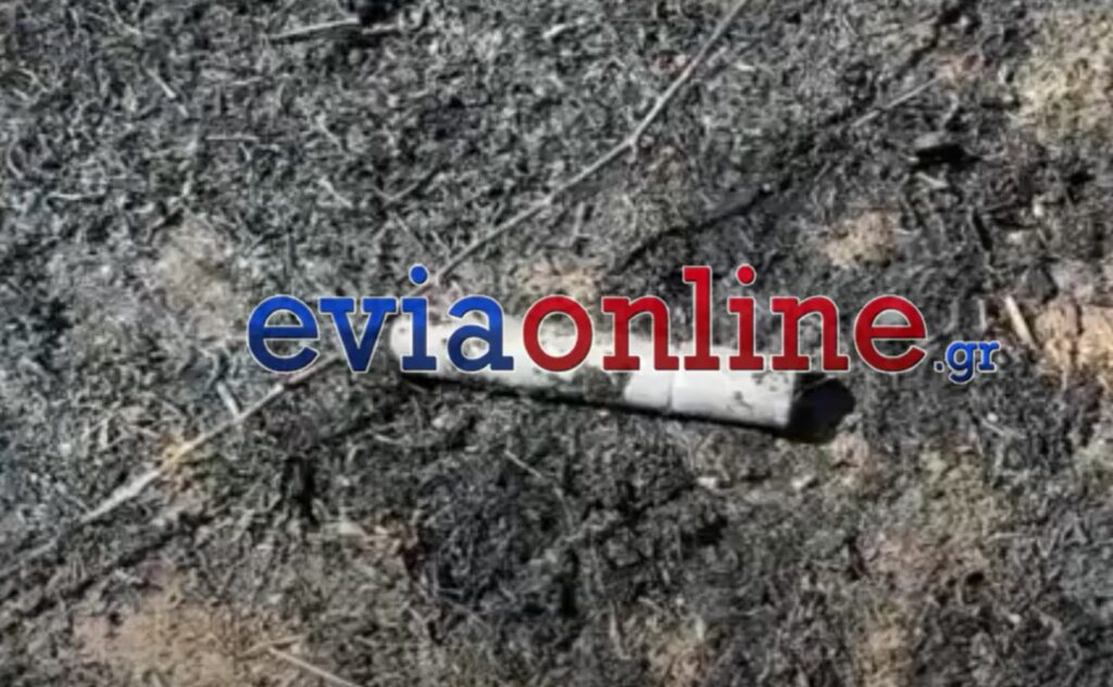 Εύβοια: Πολίτες «συνέλαβαν» ανήλικο – Προκάλεσε φωτιά με φωτοβολίδα
