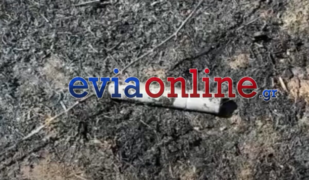 Εύβοια: Πολίτες «συνέλαβαν» ανήλικο – Προκάλεσε φωτιά με φωτοβολίδα