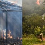 Φωτιές: Η Ελλάδα ξανά στις φλόγες - Συγκλονιστικές εικόνες