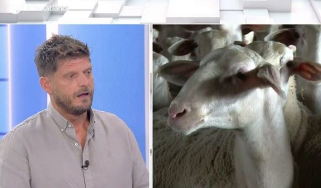 Big Brother: Η ευλογιά των προβάτων χτύπησε το κοπάδι του Ντεντόπουλου