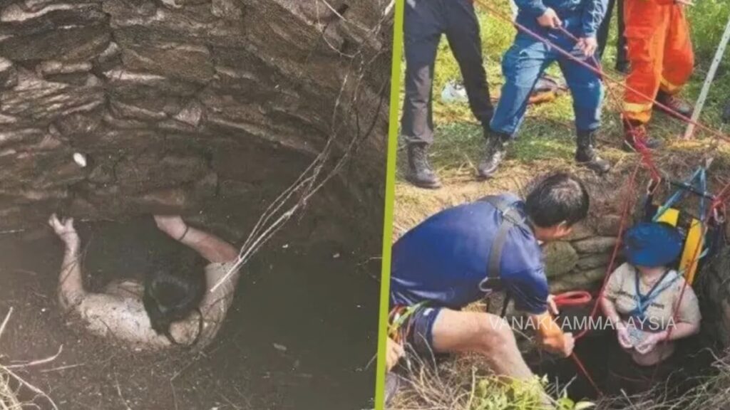 Ανατριχίλα στην Κίνα: 48χρονη έπεσε σε πηγάδι με φίδια και κουνούπια – Πώς επιβίωσε για 54 ώρες (βίντεο)