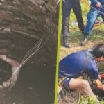 Ανατριχίλα στην Κίνα: 48χρονη έπεσε σε πηγάδι με φίδια και κουνούπια – Πώς επιβίωσε για 54 ώρες (βίντεο)