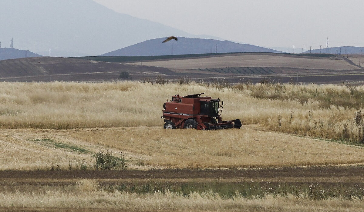 ΟΠΕΚΕΠΕ: Εξάμηνη αναβολή στην πρώτη δίκη για το σκάνδαλο - 105 οι κατηγορούμενοι