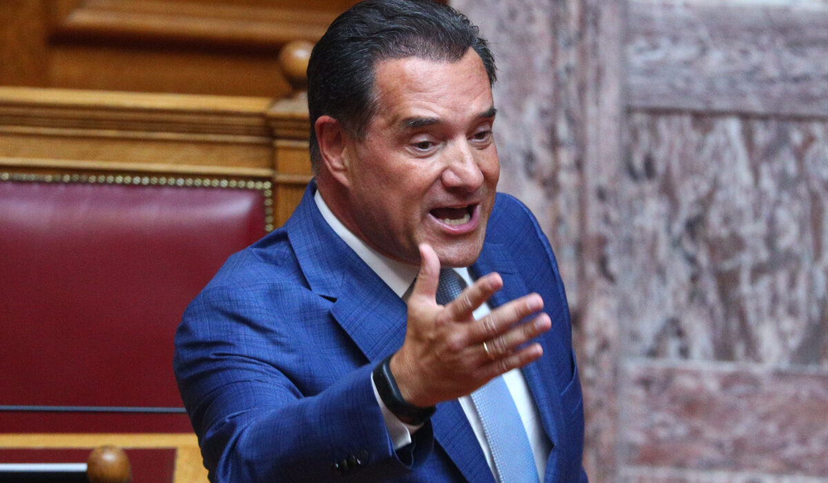 Άδωνις Γεωργιάδης στη Βουλή