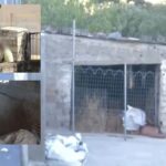 Βοιωτία