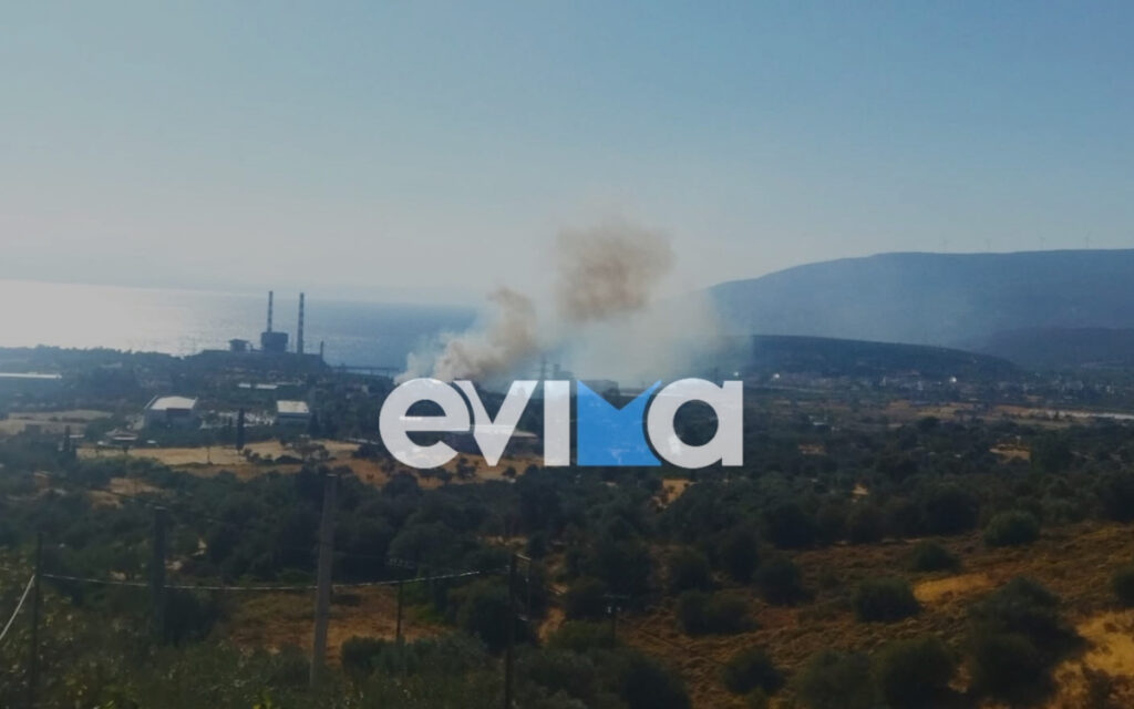 Φωτιά τώρα στο Αλιβέρι Ευβοίας – Δίπλα στο εργοστάσιο της ΔΕΗ