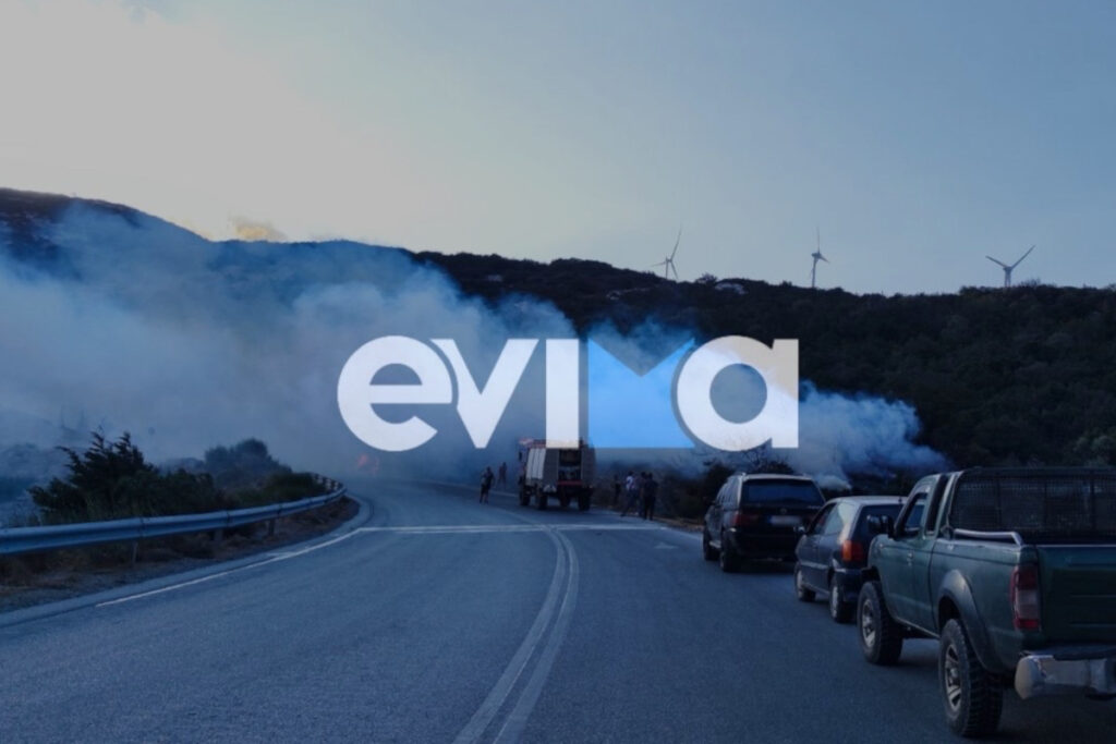 Φωτιά στην Κάρυστο Ευβοίας
