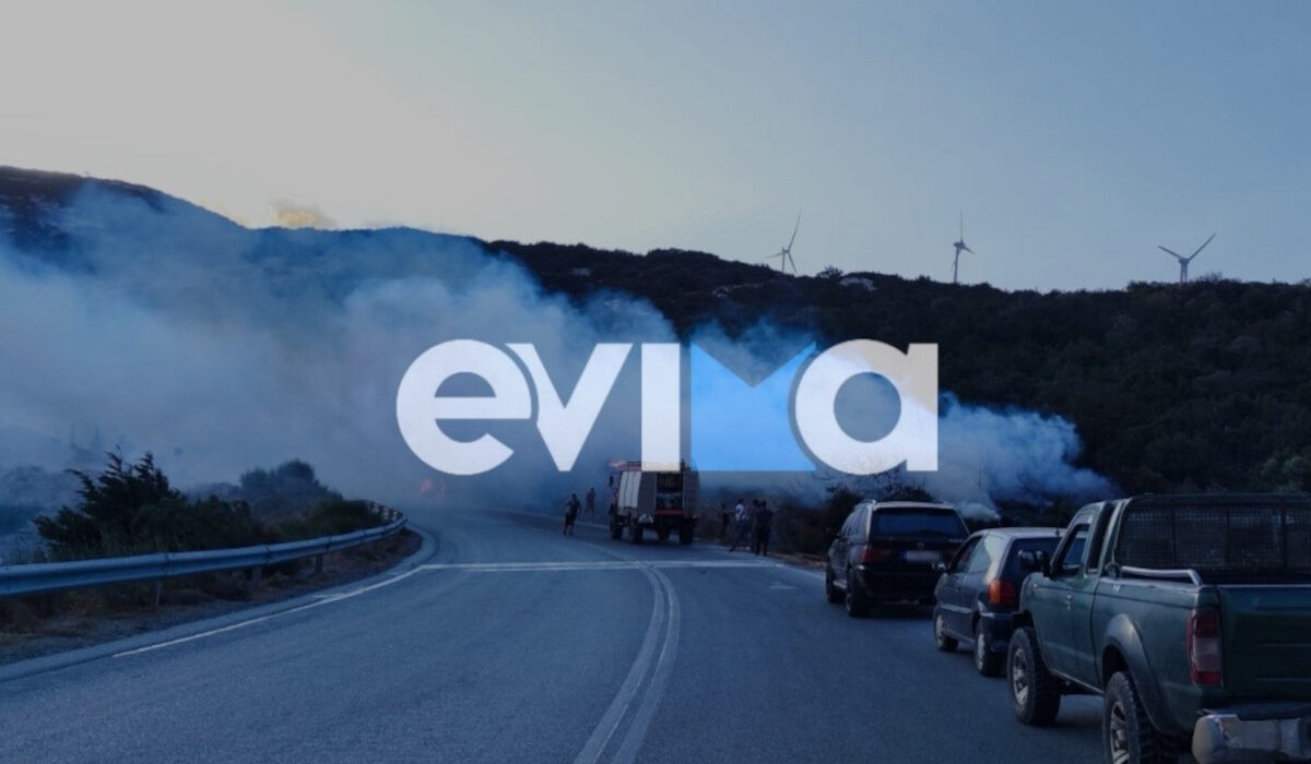 Φωτιά στην Κάρυστο Ευβοίας