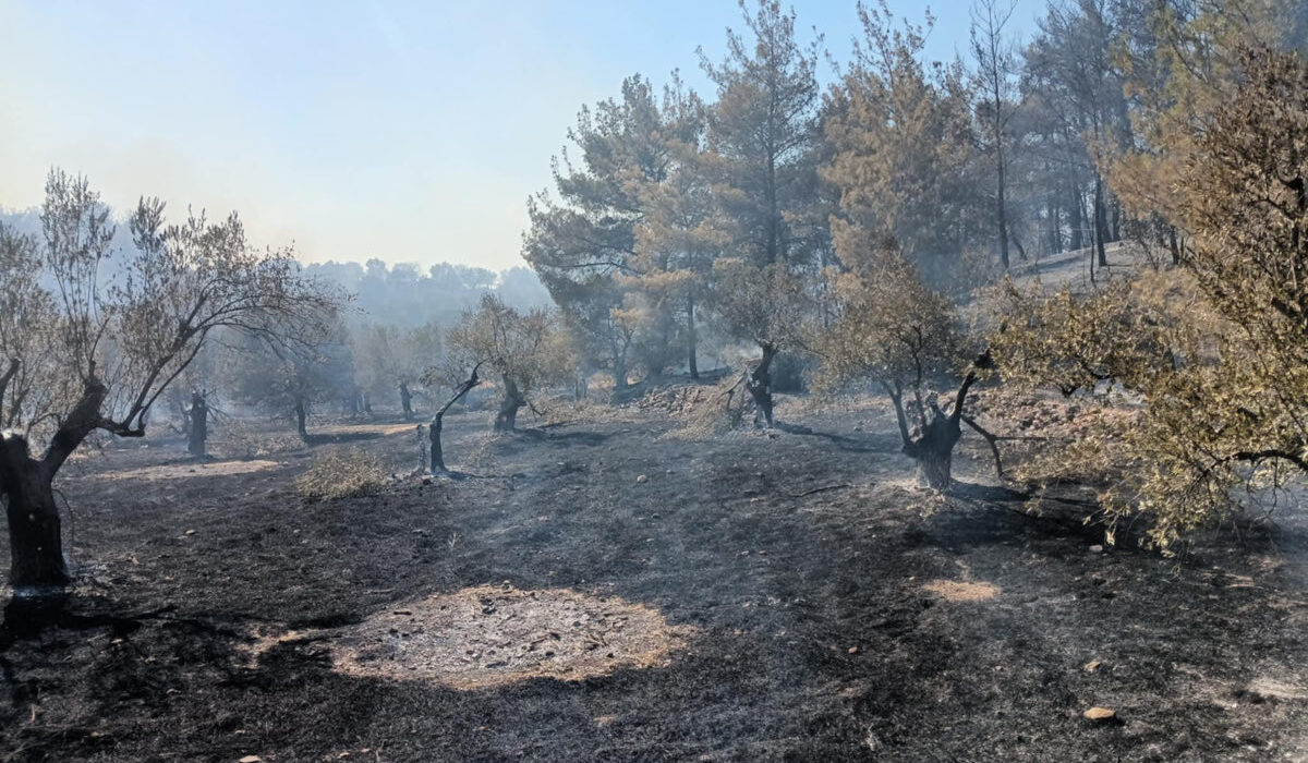 Φωτιά στη Λέσβο πυροσβέστης