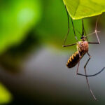 Ιός Δυτικού Νείλου