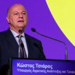 Κώστας Τσιάρας