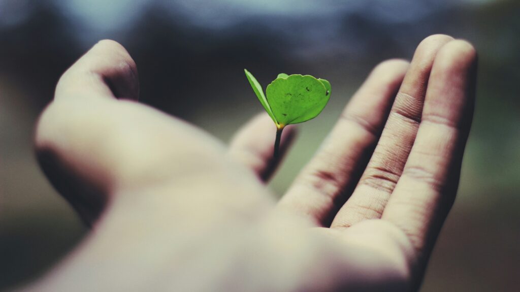 Τι είναι το «greenhushing» και γιατί είναι εξίσου επικίνδυνο με το greenwashing