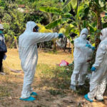 Γρίπη των πτηνών