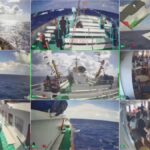 «Freedom Flotilla»: Νέος στολίσκος πλέει προς τη Γάζα - Εννέα πλοία με 100 ακτιβιστές, live εικόνα