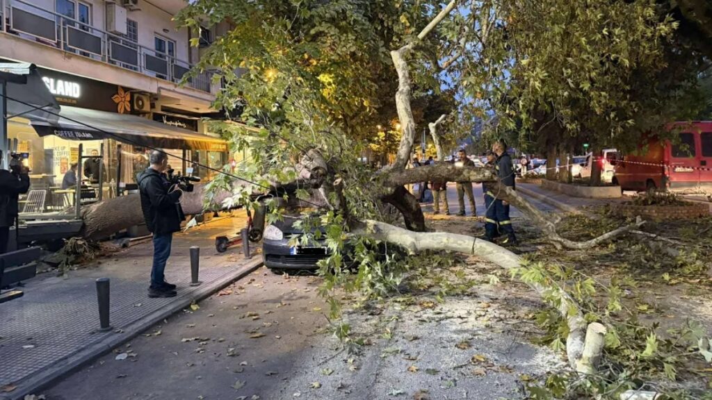 Θεσσαλονίκη: Δέντρο ξεριζώθηκε και καταπλάκωσε αυτοκίνητο (βίντεο)