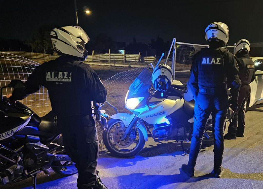 Αστυνομία, ΔΙΑΣ