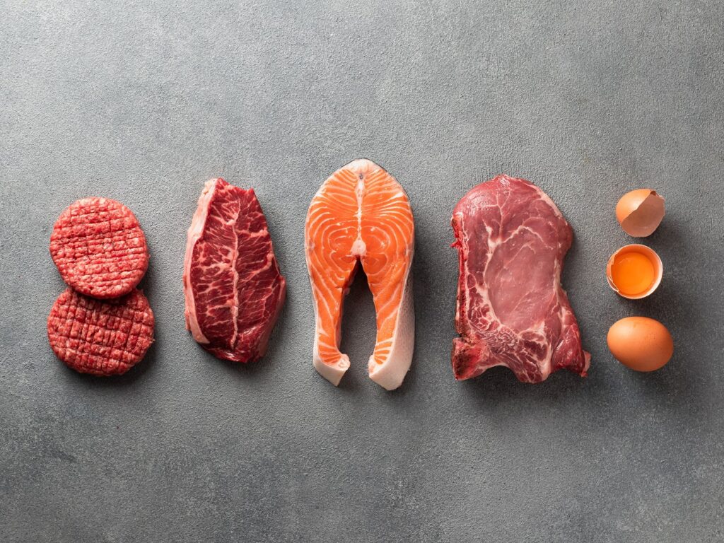 carnivore diet, κρεατοφαγία