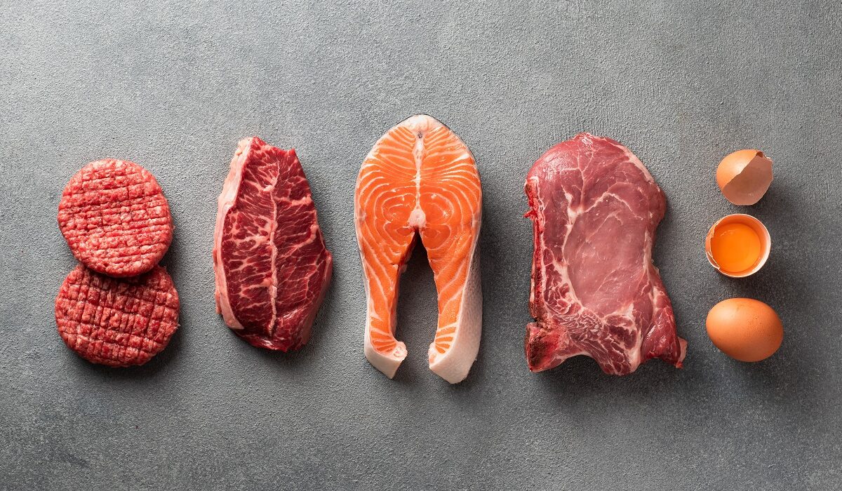 carnivore diet, κρεατοφαγία