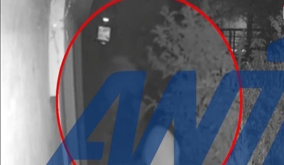 Δροσιά Πυροβολισμοί