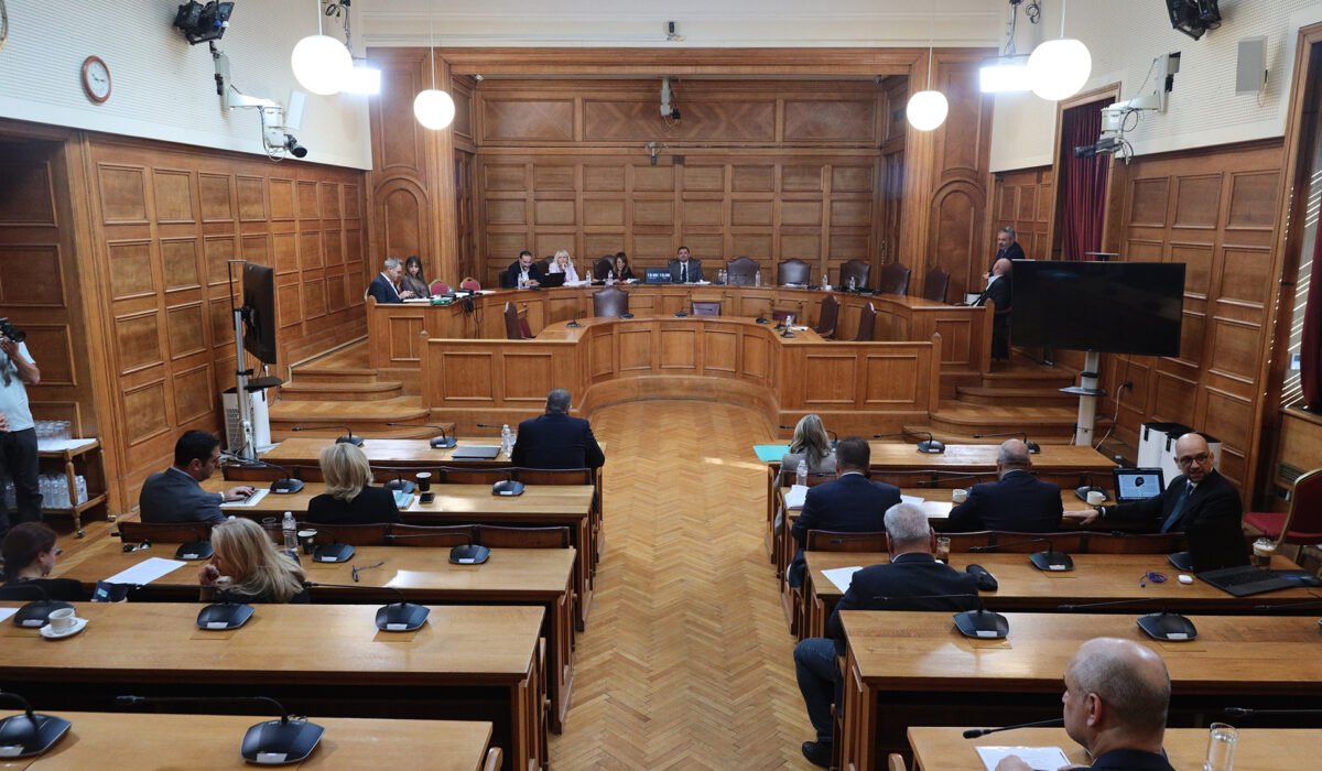 Εξεταστική Επιτροπή ΟΠΕΚΕΠΕ