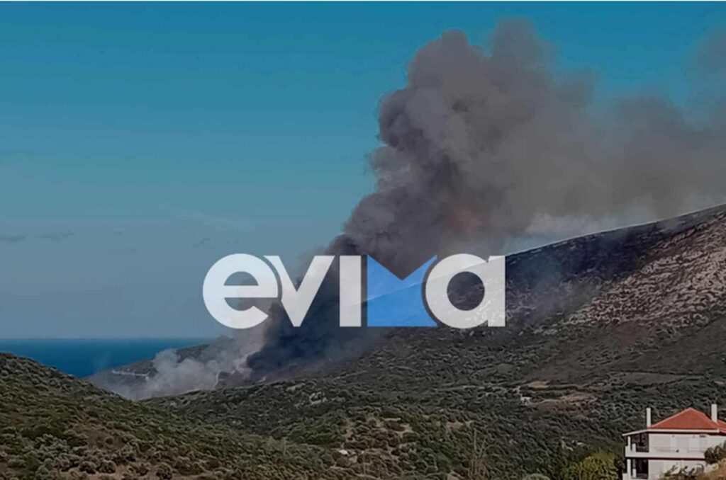 Φωτιά τώρα στην Εύβοια, σηκώθηκαν εναέρια μέσα