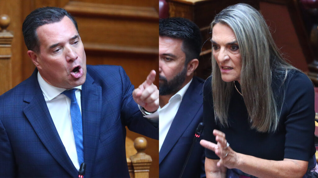 Άδωνις Γεωργιάδης Πέτη Πέρκα