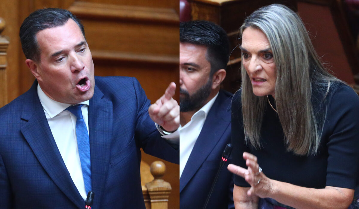 Άδωνις Γεωργιάδης Πέτη Πέρκα
