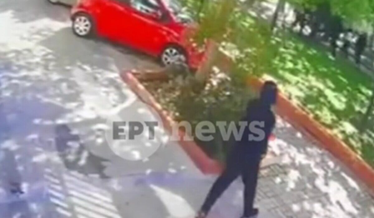 Περιστέρι