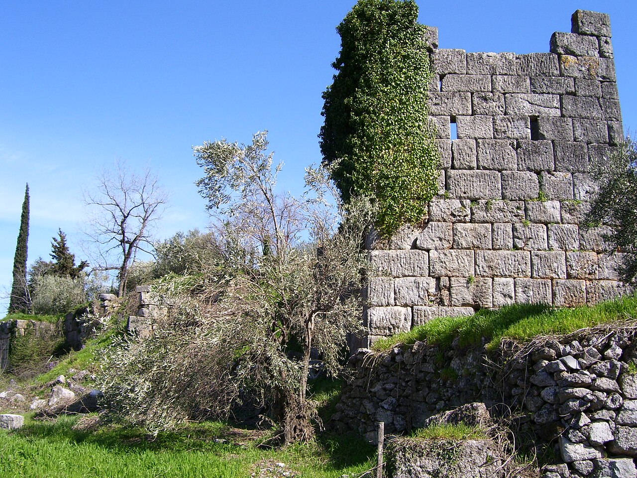 Τιθορέα