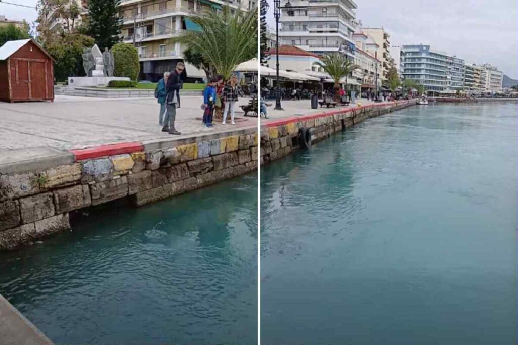 Χαλκίδα Ψάρια