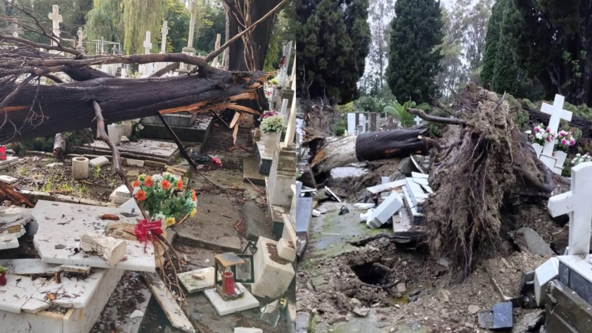 Κακοκαιρία σε Ήπειρο και Καστοριά: Υπερχείλισαν ποταμοί – Ακατάλληλο το νερό σε πολλά χωριά (εικόνες, βίντεο)