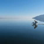 λίμνη Κερκίνη