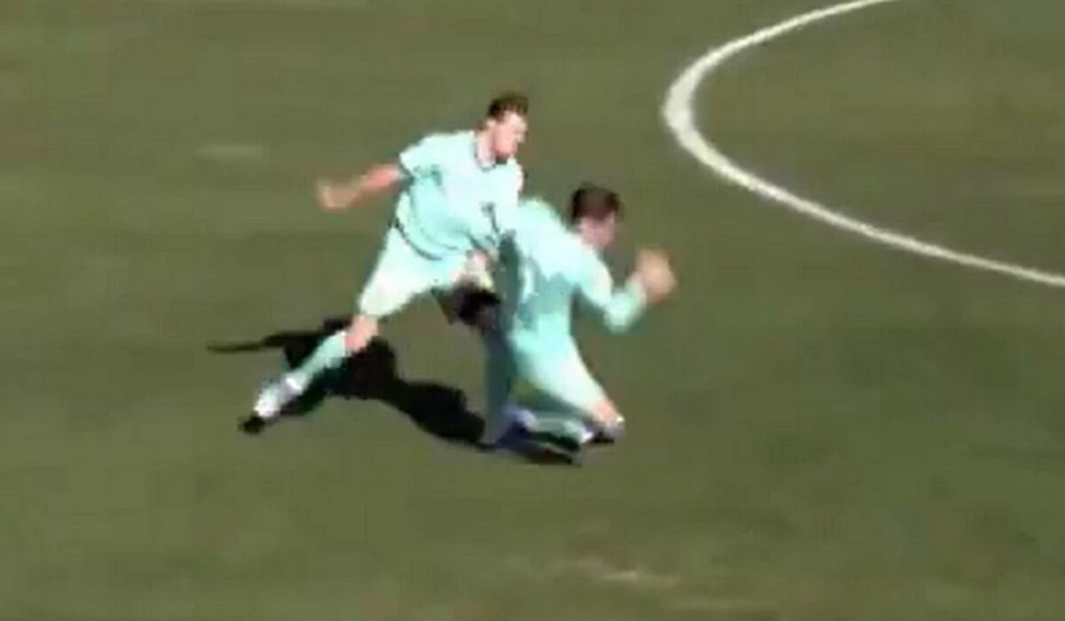 Γιώργος Κούτσιας