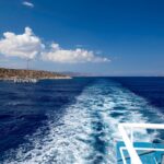 άγονη γραμμή