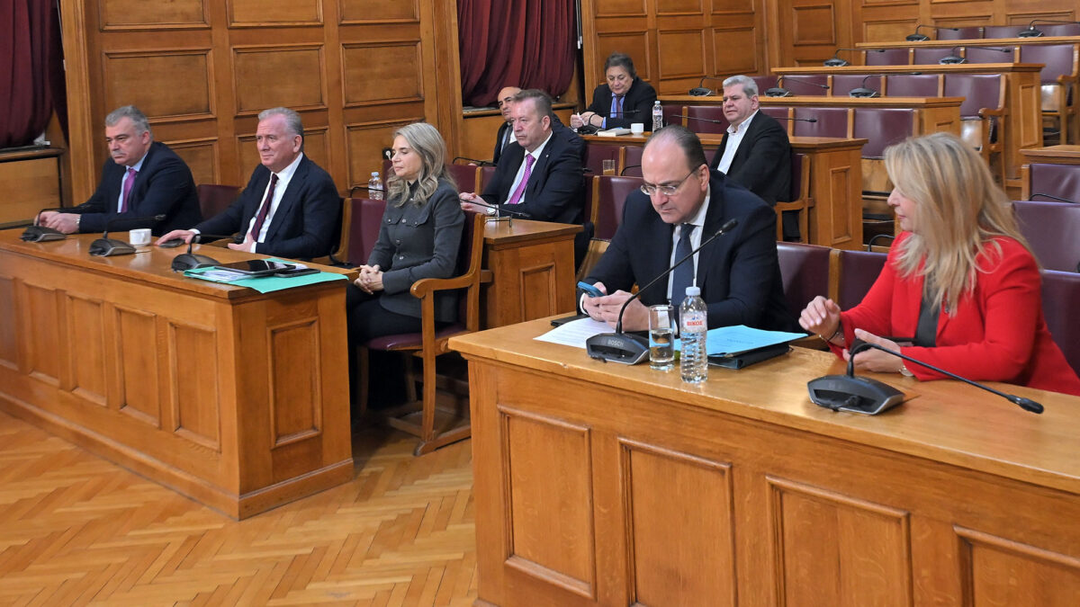 Εξεταστική Επιτροπή ΟΠΕΚΕΠΕ