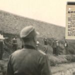 Γιατί οι Γερμανοί εκτέλεσαν 200 αντιστασιακούς στο Σκοπευτήριο της Καισαριανής