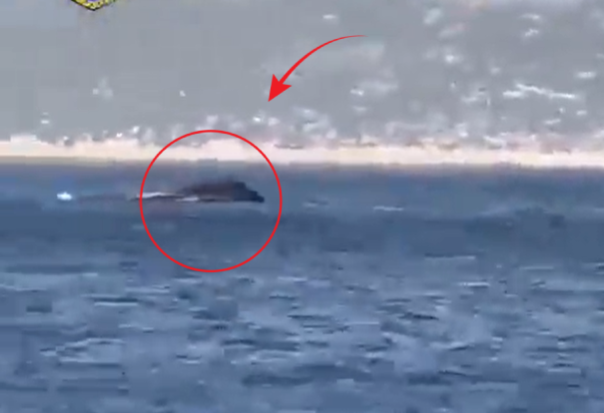 Βίντεο από το βυθισμένο σκάφος της Frontex στο Καστελόριζο – Επέβαινε και η πρέσβειρα της Εσθονίας