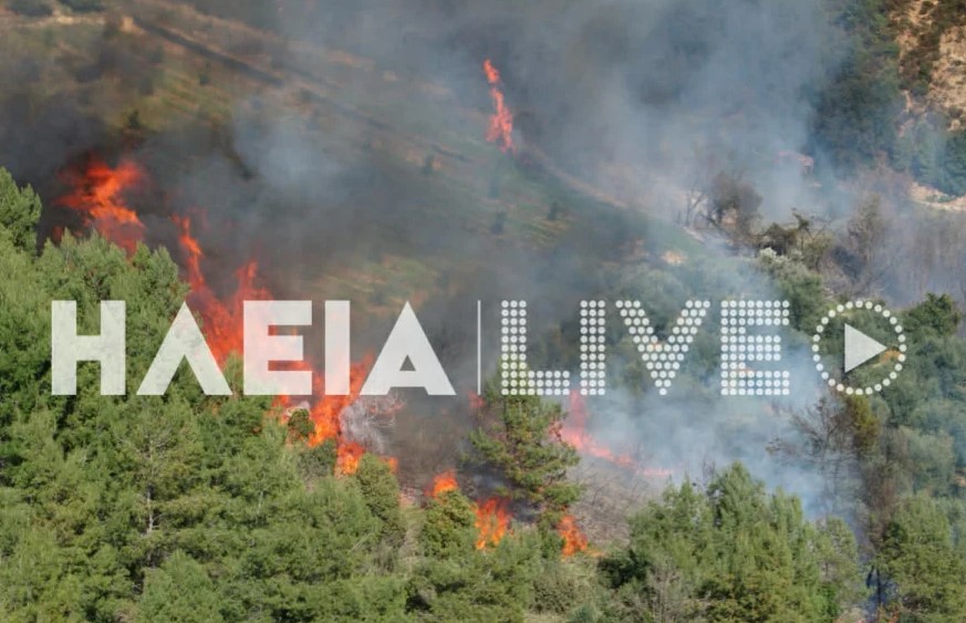 Ηλεία: Μεγάλη δασική φωτιά στην περιοχή του Ελαιώνα (Βίντεο)