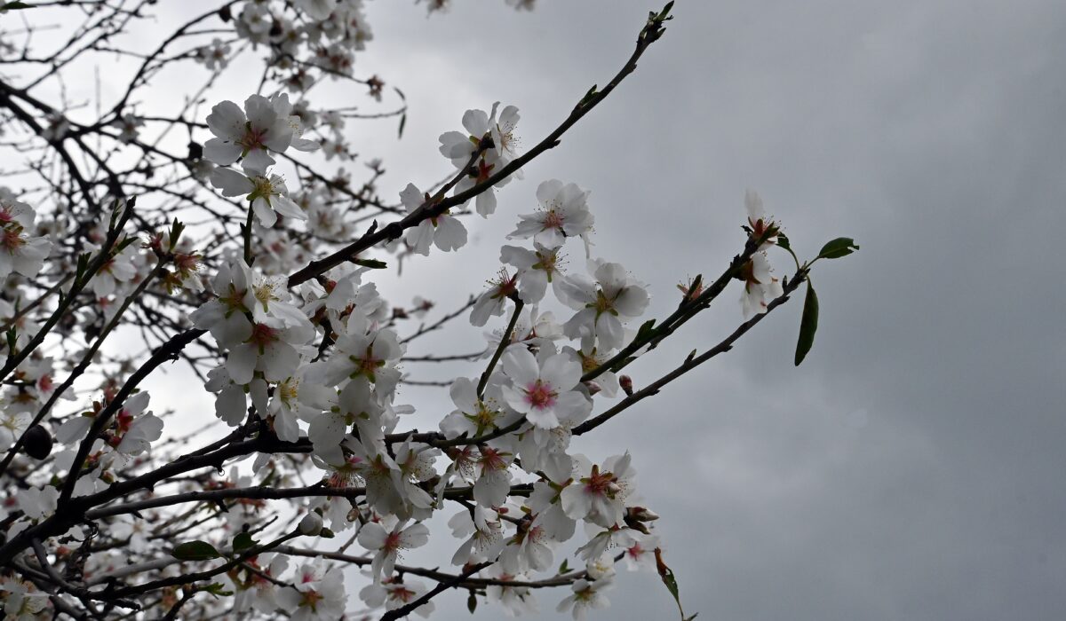 Ξαφνική «στροφή» του καιρού με πολύ κρύο και χιόνια