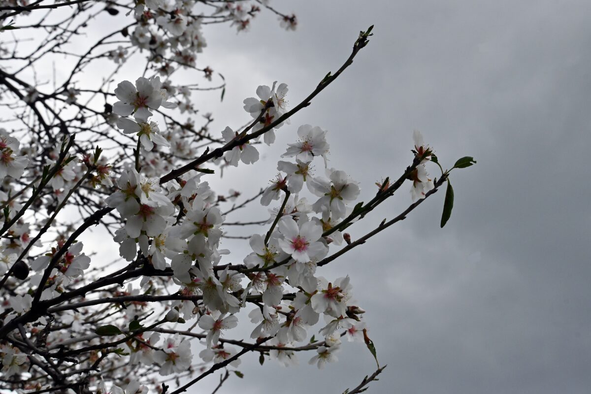 Ξαφνική «στροφή» του καιρού με πολύ κρύο και χιόνια