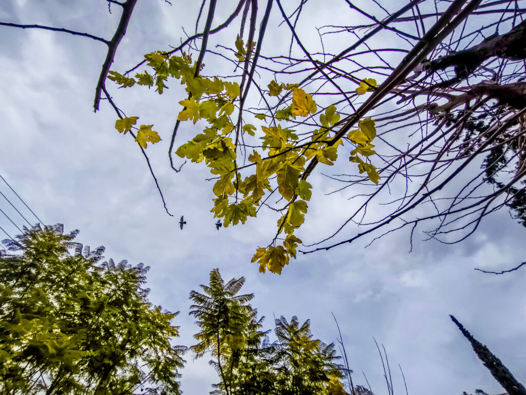 Ο καιρός αλλάζει: Η πρώτη ανοιξιάτικη κακοκαιρία – Θα κάνει περισσότερο κρύο