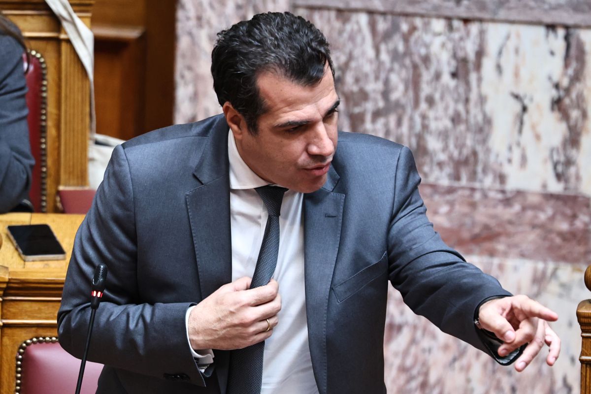 Πλεύρης: «Να μιλήσουμε ανοιχτά για προστασία συνόρων με αποτροπή και όχι μόνο με search and rescue»