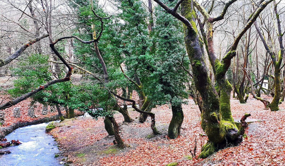 Ο προορισμός για μονοήμερη 3 ώρες από την Αθήνα που δεν έχεις ακούσει ξανά