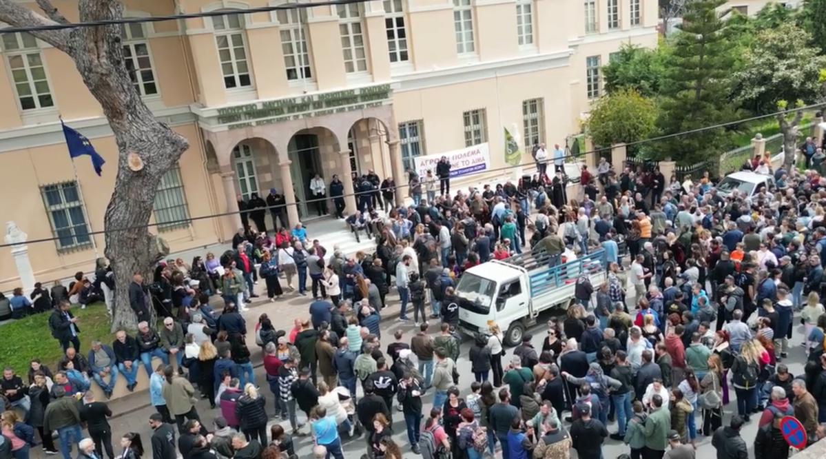 Στο «πόδι» η Λέσβος: Μεγάλη κινητοποίηση για την κτηνοτροφία (Βίντεο)