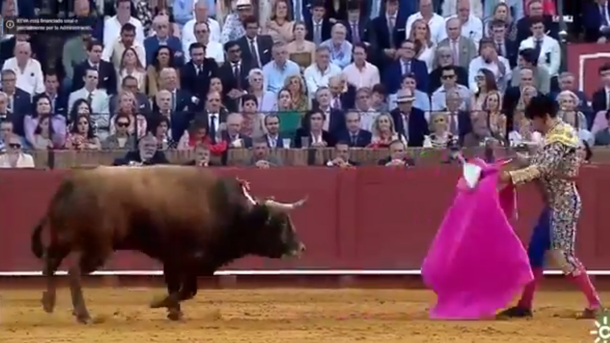 Σοκ στη Σεβίλλη: Ταύρος κάρφωσε πασίγνωστο ταυρομάχο – Σκληρό βίντεο