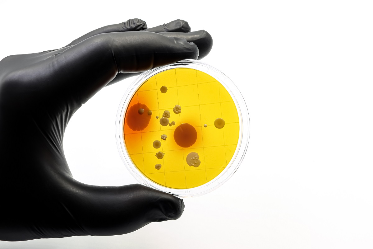 ανθεκτικά μικρόβια