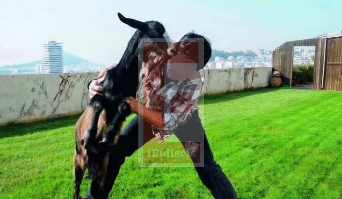 αρχιτέκτονας, ψυχικό, φάρμα με ζώα αμπελόκηποι