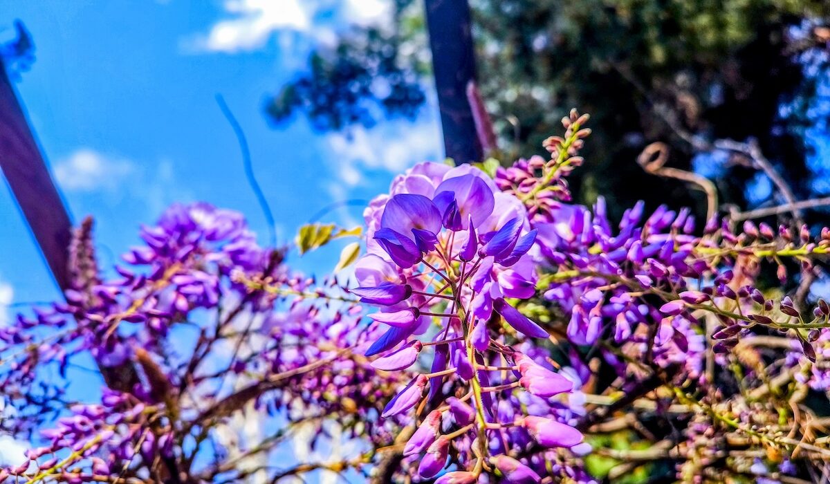 Καιρός Ήλιος Άνοιξη