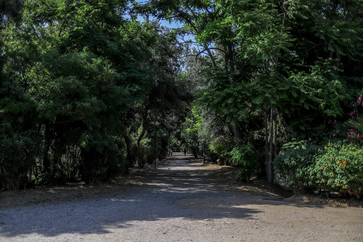 Πρωτομαγιά